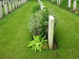 image of grave number 787235